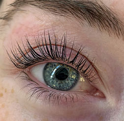 Lash-Lift-round (1)